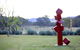 Sculptures In The Garden - thumb 1