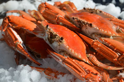 Seafood On Spencer - Tourism Cairns 1