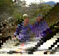 Serra Terror - Tourism Cairns