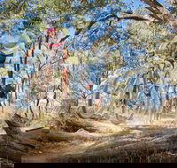 Shimano Mountain Bike Grand Prix  Logan - Tourism Cairns