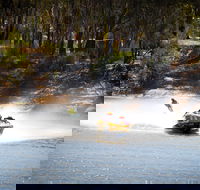 Southern 80 - Tourism Cairns