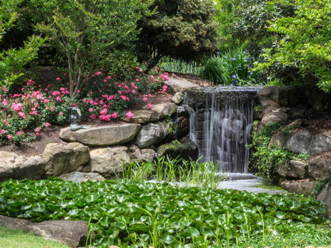 Spring Time At Hunter Valley Gardens - Tourism Cairns 1
