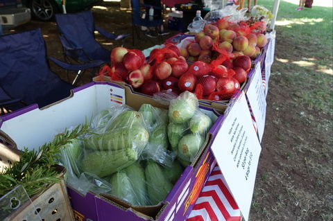 Swan Hill Farmers Market - Tourism Cairns 2