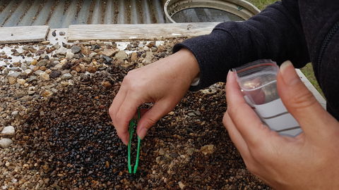 The Minerama Fossicking, Gem And Jewellery Show - Tourism Cairns 1