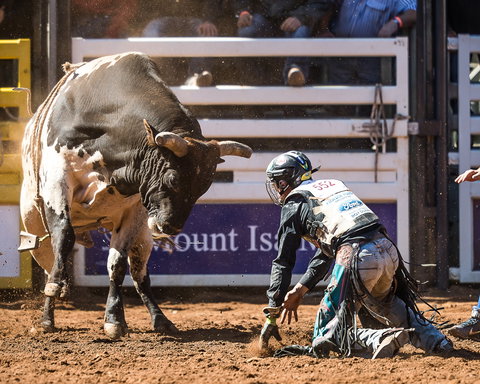 The 2020 Virtual Mount Isa Mines Rodeo - Tourism Cairns 2