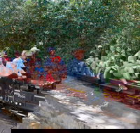 Twilight Run   Willans Hill Miniature Railway - Tourism Cairns