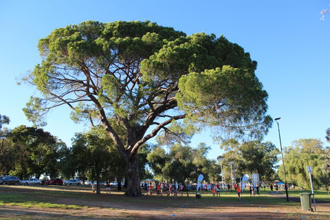 Wagga Parkrun - Tourism Cairns 1