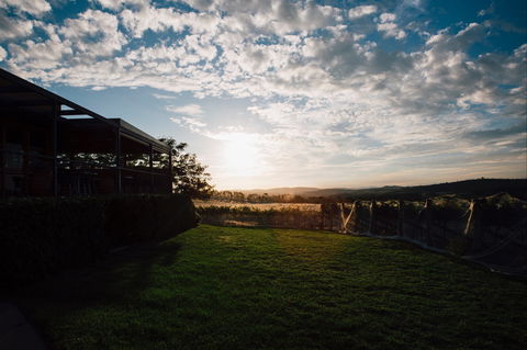 Weekly Truffling At Contentious - Tourism Cairns 0