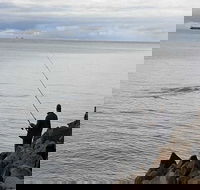 Whale Watching in Portland - Tourism Cairns