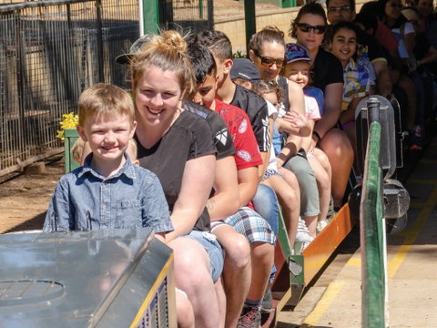 Willans Hill Miniature Railway Rides: Open Days - Tourism Cairns 0