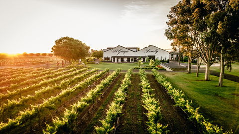 Aged Wine And Vintage Pies - Tourism Cairns 2