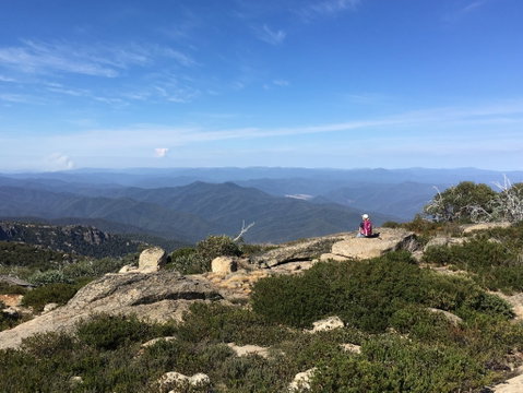 Hedonistic Hiking's Buffalo And Bubbles - Tourism Cairns 1