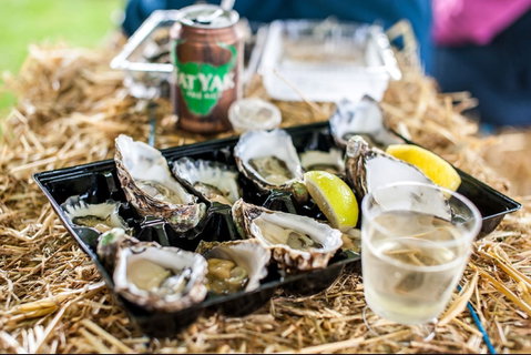 Narooma Oyster Festival - Tourism Cairns 1
