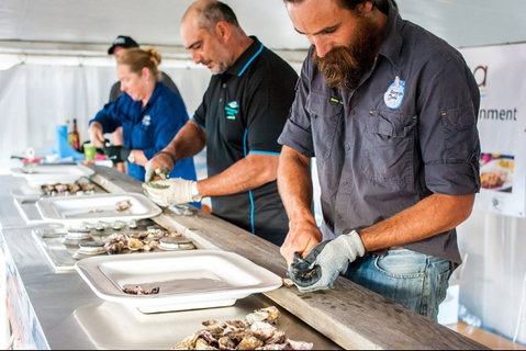 Narooma Oyster Festival - Tourism Cairns 2
