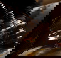 Tasmanian Whisky Week - Tourism Cairns