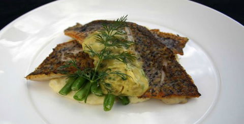 Aquarius Seafood Restaurant - Tourism Cairns 2