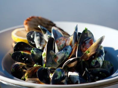 Fratelli Del Mare - Tourism Cairns 4