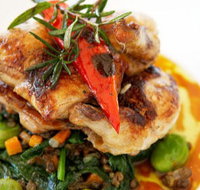 Stella Italian Kitchen  Pizzeria - Tourism Cairns
