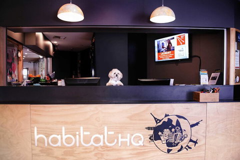 Habitat HQ - Hostel - Tourism Cairns 3