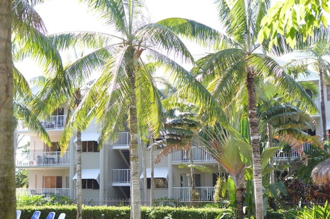 Cairns Beach Resort - Tourism Cairns 1