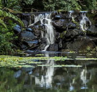 Kondalilla Eco Resort - Tourism Cairns
