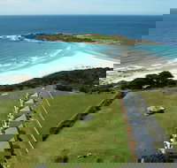 Diamond Island Resort  Bicheno Penguin Show - Tourism Cairns