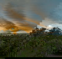 Ocean International - Tourism Cairns
