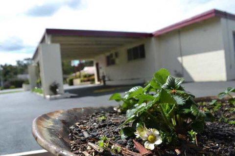 Wattle Motel - Tourism Cairns 2