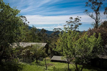 Buttercuphill B&B - Tourism Cairns 0