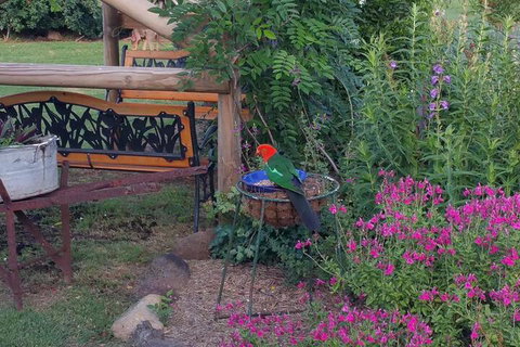 Birdhouse Cottage B & B - Tourism Cairns 3