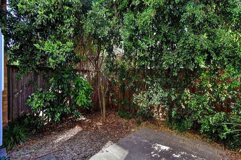 Aqua Viva 2 - Tourism Cairns 1