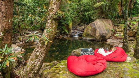 Daintree Secrets Rainforest Sanctuary - Tourism Cairns 6