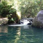 Daintree Secrets Rainforest Sanctuary - Tourism Cairns 0