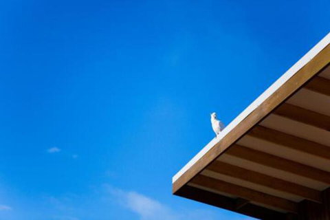 Wye Not Escape - Tourism Cairns 6