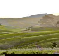 Ketchup's Bank Glamping - Tourism Cairns