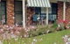 Butterfly Cottage - thumb 0