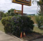 Golden West Motor Inn - Tourism Cairns