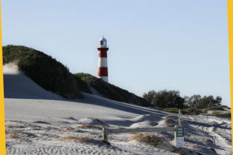 West End Retreat - Tourism Cairns 3