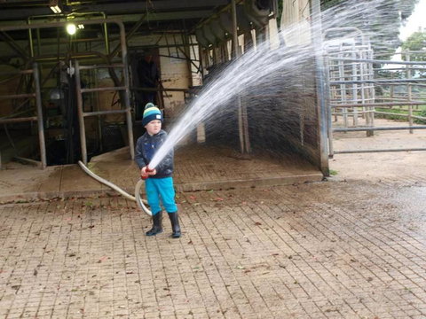 Manderley Park Farmstay B & B - Tourism Cairns 3