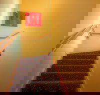 Forest Edge - Tourism Cairns