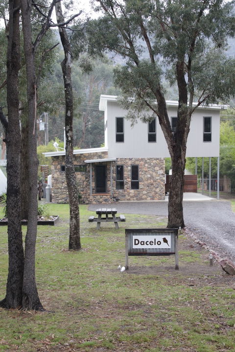 Dacelo - Tourism Cairns 4