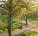 A Suite Spot in the Hills - Tourism Cairns