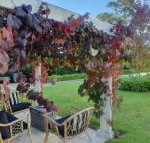 The Cottage - Tourism Cairns