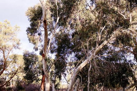 Harts Farm - Tourism Cairns 5