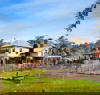 Morgantis - Tourism Cairns