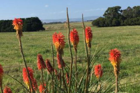 Yanakie Holiday House - Tourism Cairns 7