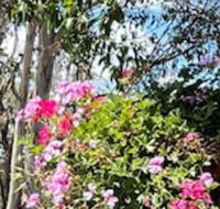 Crows Nest Motel - Tourism Cairns