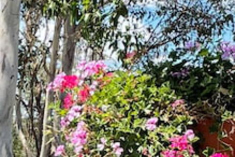 Crows Nest Motel - Tourism Cairns 0