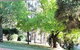 Eemnes Park Estate - thumb 6