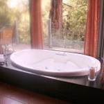 Heavenly Retreat - Tourism Cairns 0